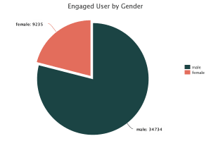 Engaged User by Gender