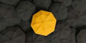 Unique Value Proposition (UVP)